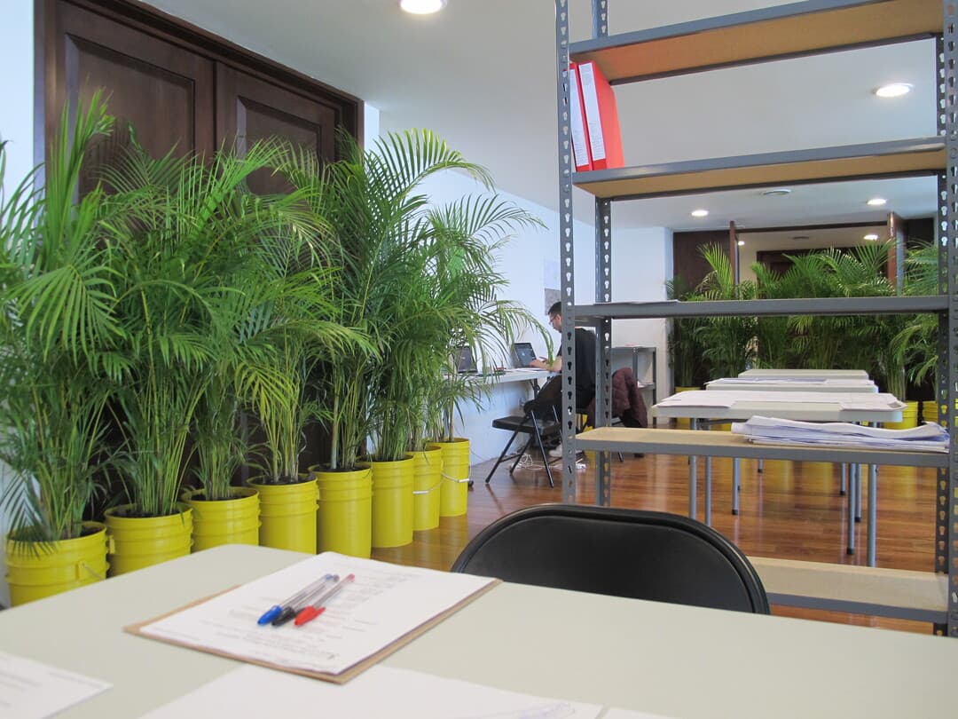 sala-jardín-bar, 2021 ©️ APRDELESP Archive